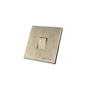 Belamy Golden 1 Gang 1 Way Switch| BE-Gold